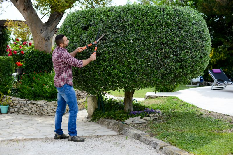 Tree Shaping and Pruning
